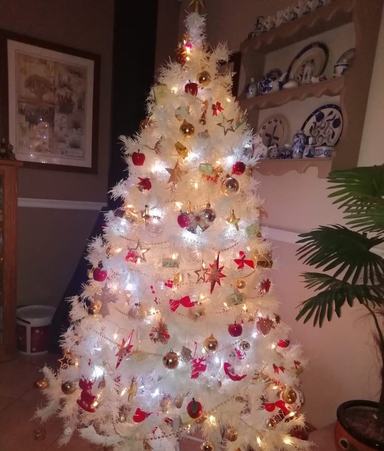 Response to Ismail Lagardien's article on the Daily Maverick